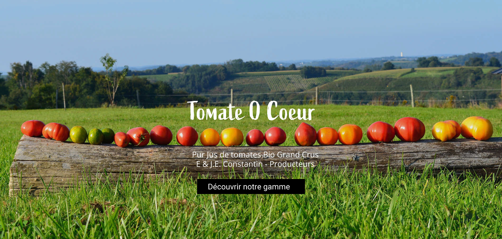 Pur jus de tomages Bio grand crus - E & J.E. Constantin - Producteurs